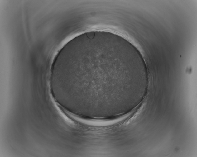 X0000091511525200708171145