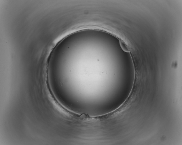 X0000091511526200708171145