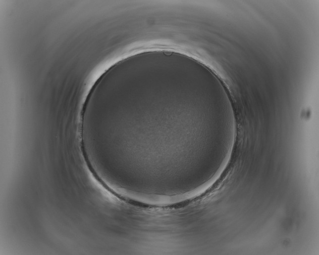 X0000091511527200708171145