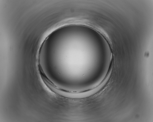 X0000091511528200708171145