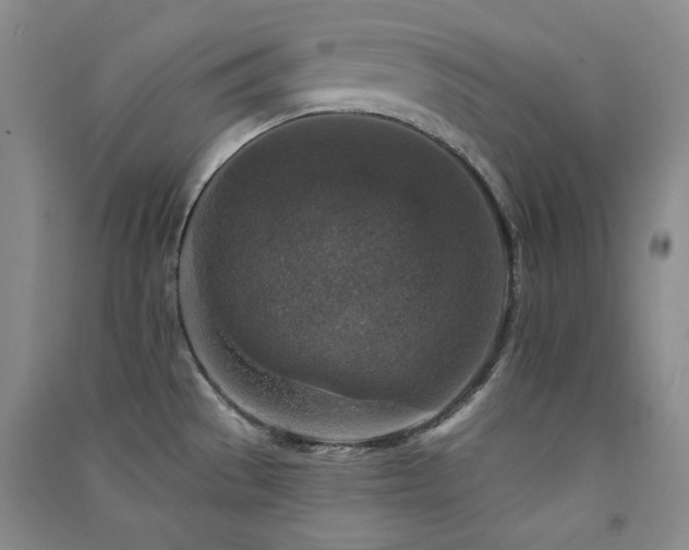 X0000091511529200708171145