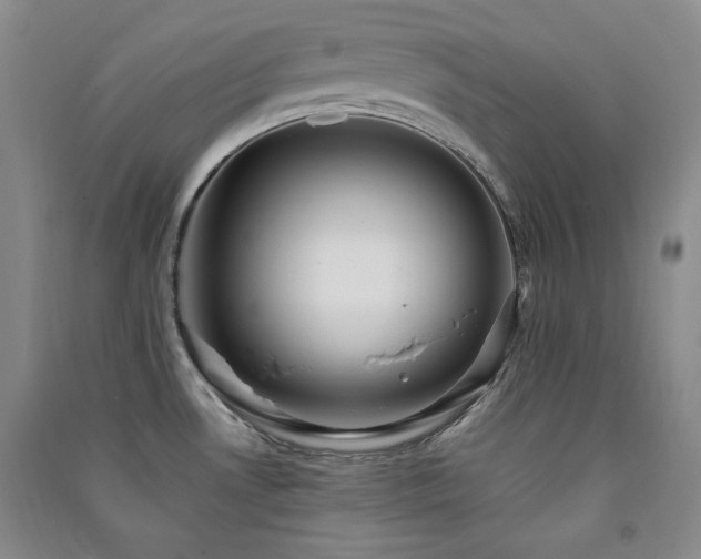 X0000091511530200708171145