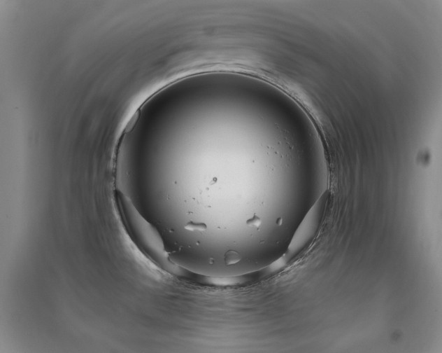 X0000091511532200708171145