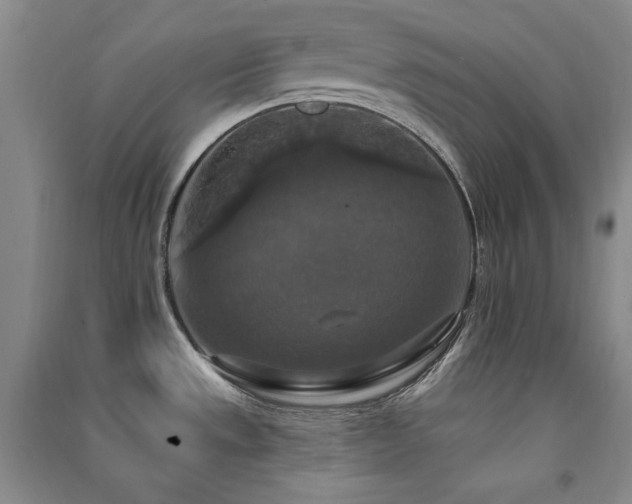 X0000091511533200708171145