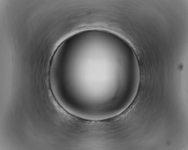 X0000091511534200708171145