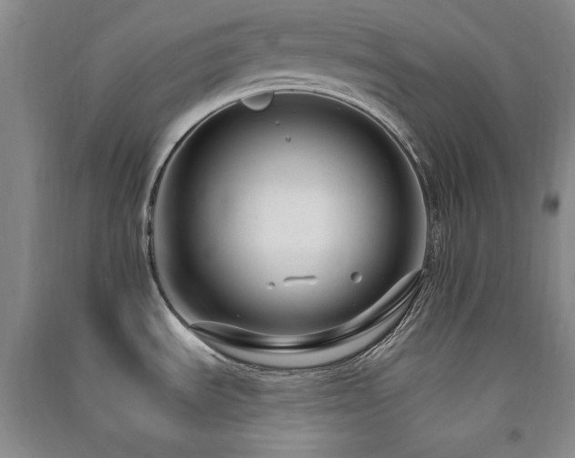 X0000091511535200708171145