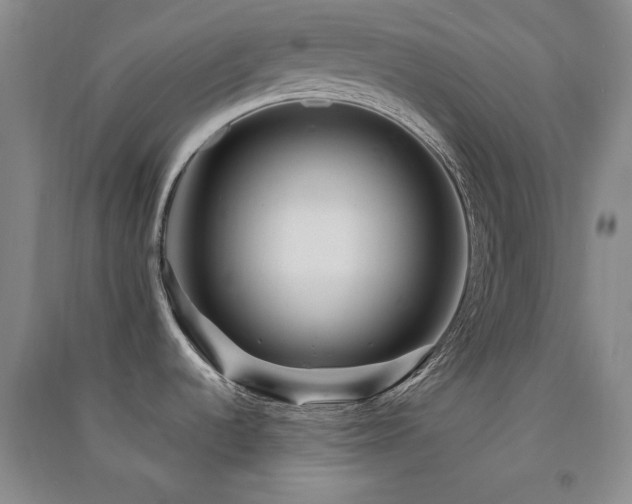 X0000091511536200708171145