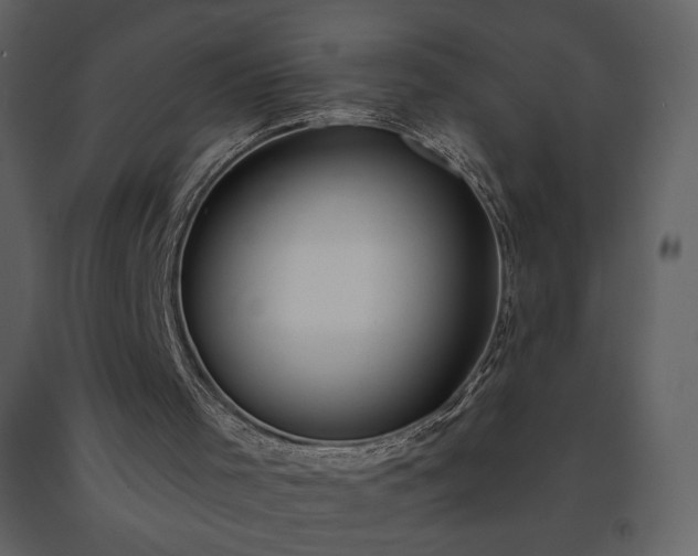 X0000091510001200708241639