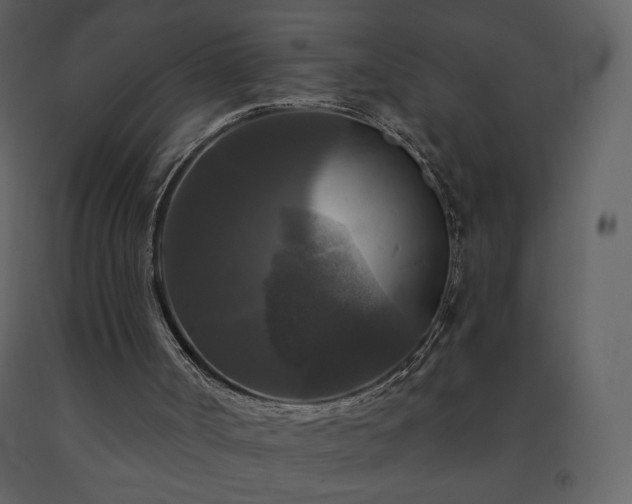 X0000091510002200708241638