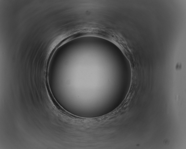 X0000091510003200708241638