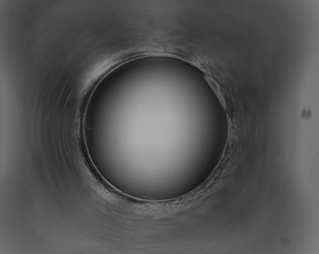 X0000091510005200708241638