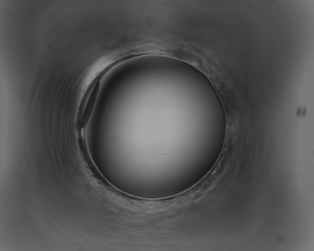 X0000091510006200708241638