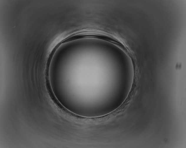 X0000091510007200708241638