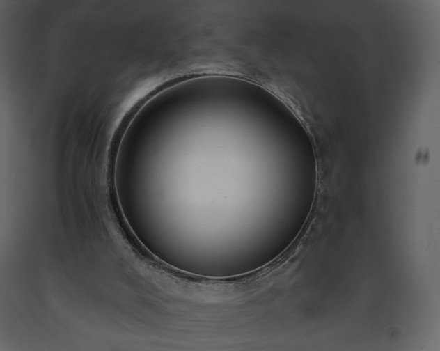 X0000091510008200708241638