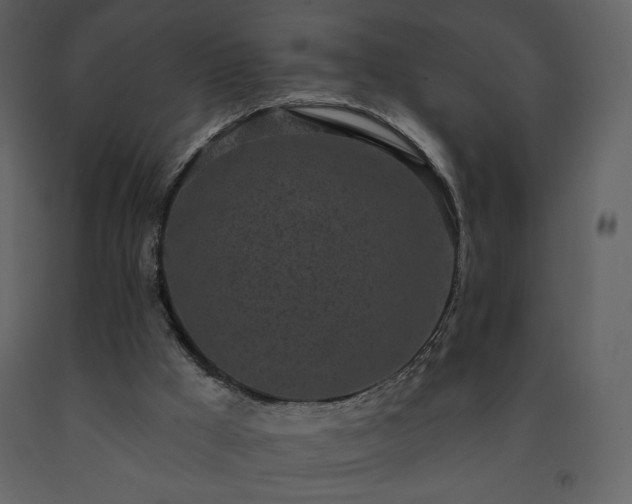 X0000091510009200708241638