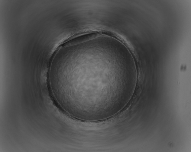 X0000091510010200708241638