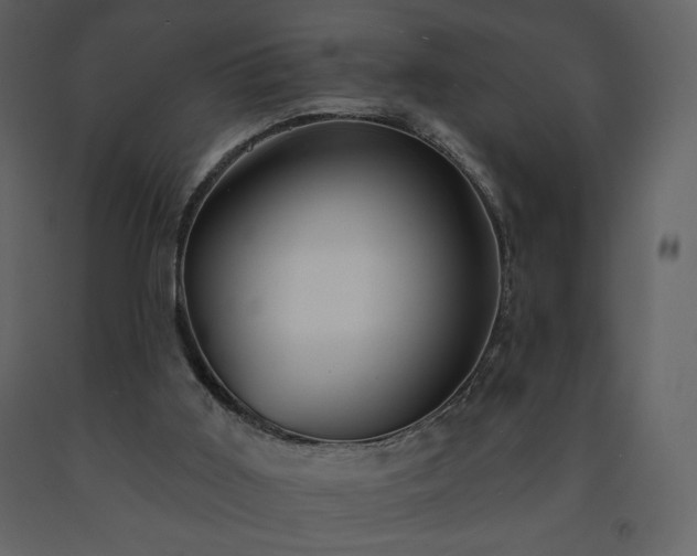 X0000091510011200708241638