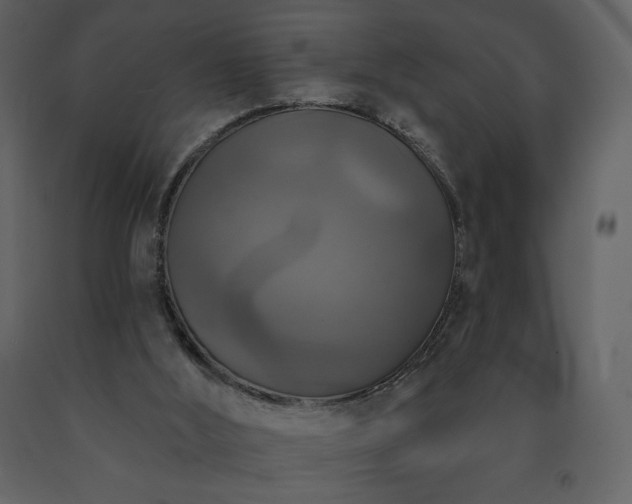 X0000091510012200708241638