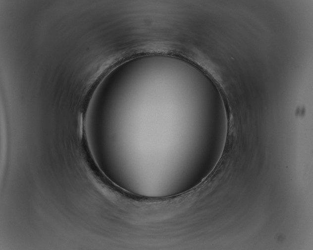 X0000091510013200708241638