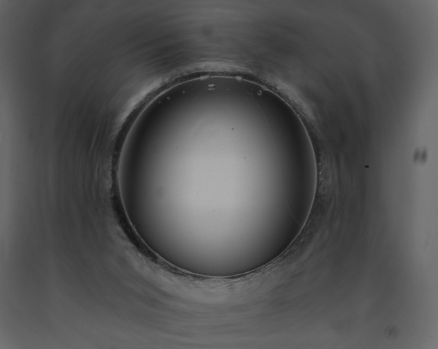 X0000091510015200708241638