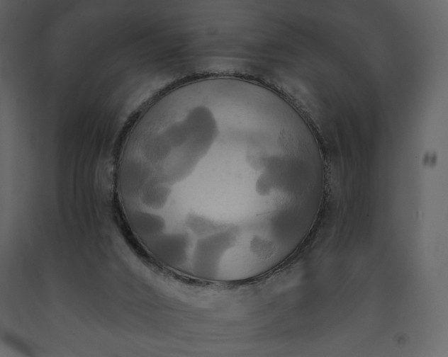 X0000091510016200708241638