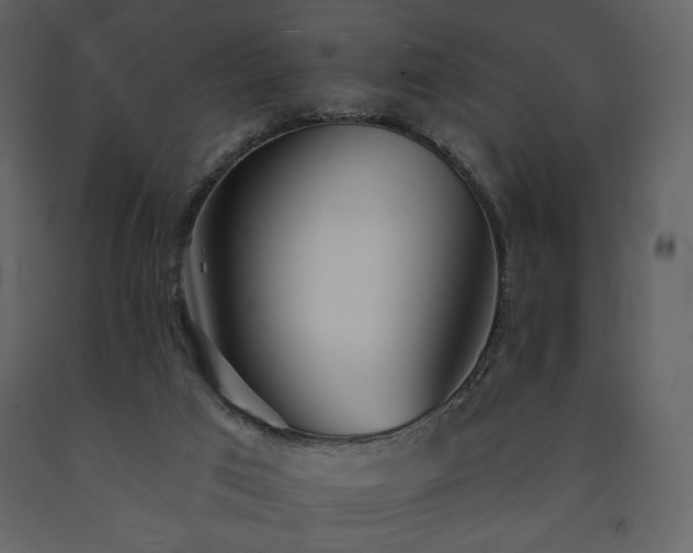 X0000091510017200708241638