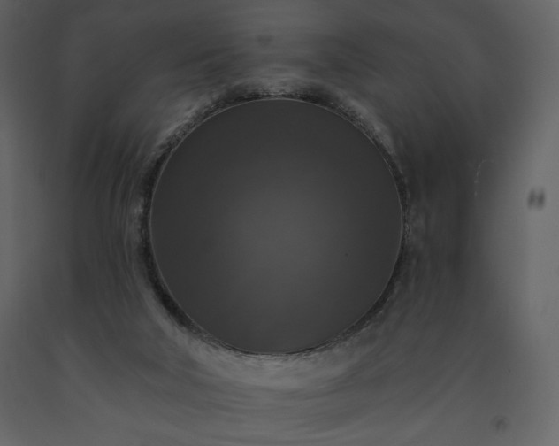 X0000091510018200708241638