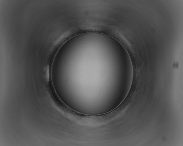 X0000091510020200708241638