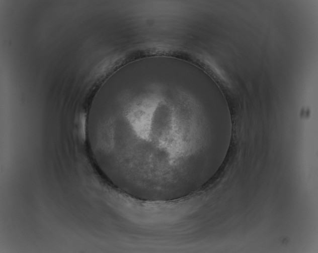 X0000091510022200708241638