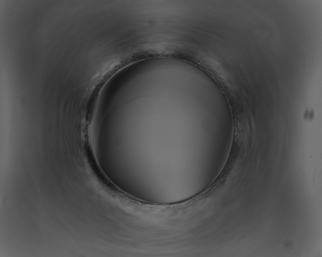 X0000091510023200708241638