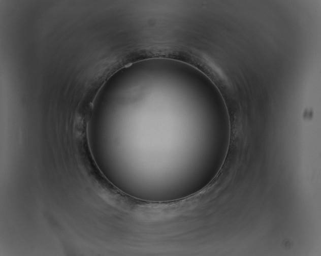 X0000091510025200708241638