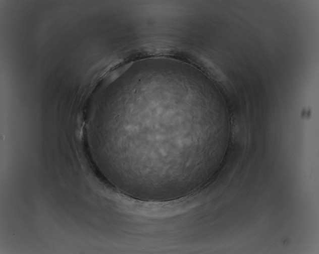 X0000091510026200708241638