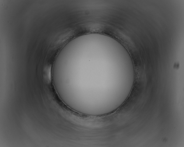 X0000091510028200708241638