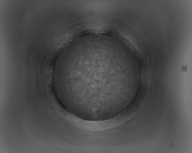 X0000091510030200708241638