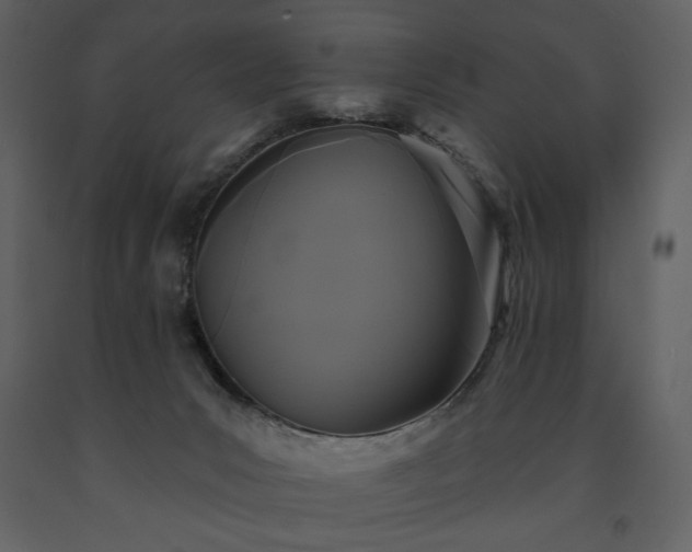 X0000091510031200708241638