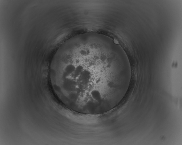 X0000091510032200708241638