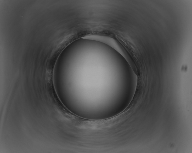 X0000091510033200708241638