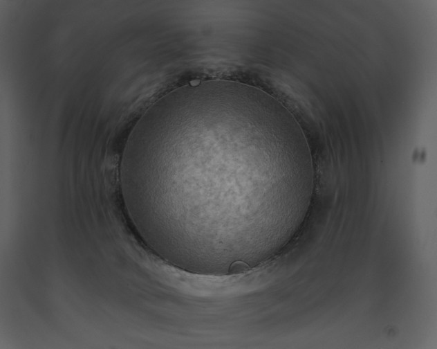 X0000091510034200708241638