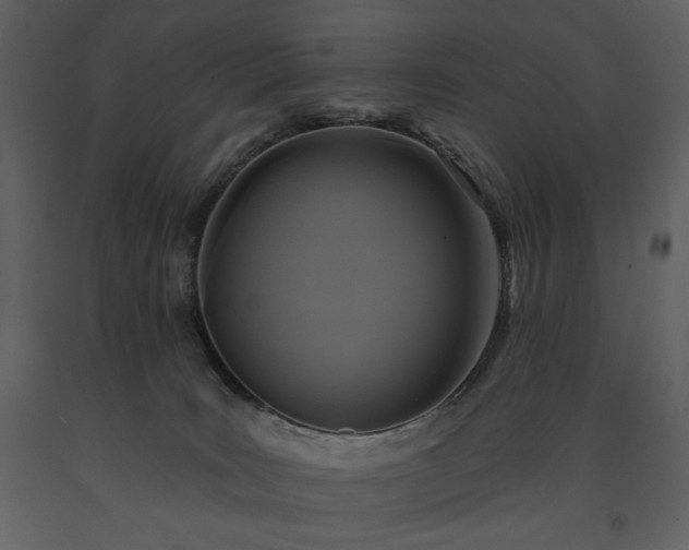 X0000091510035200708241638