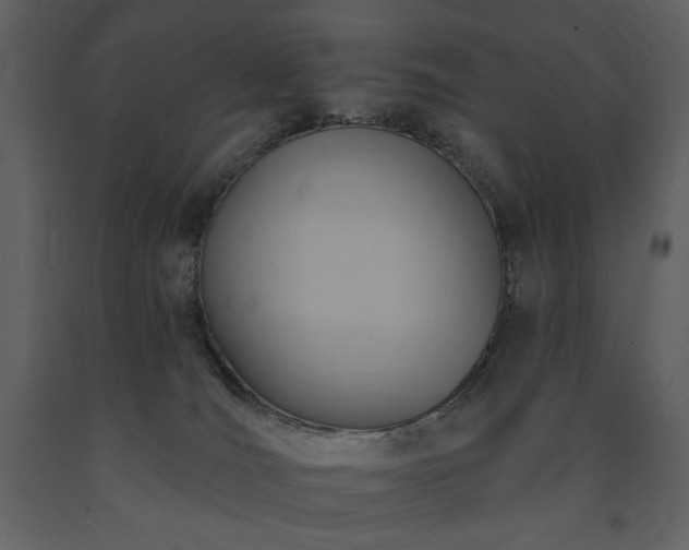 X0000091510036200708241638