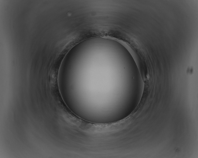 X0000091510037200708241638