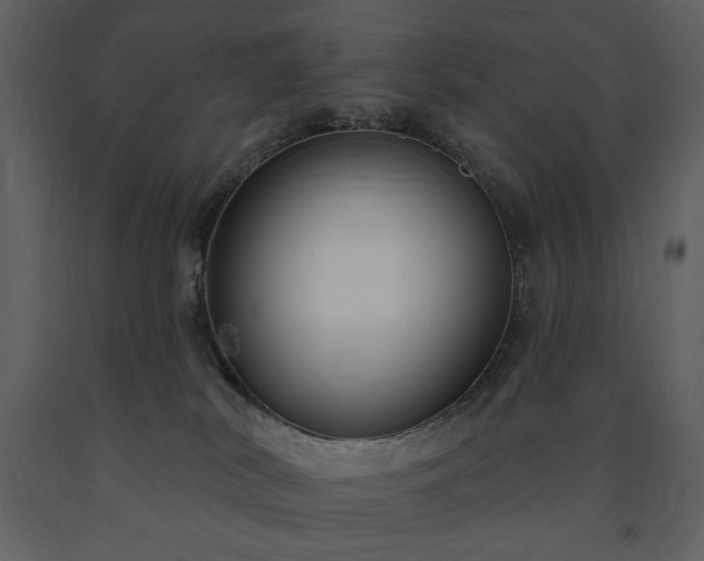 X0000091510038200708241638