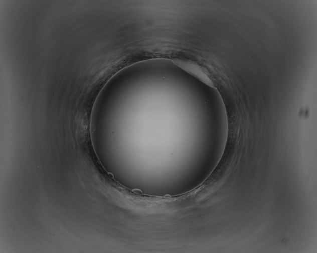 X0000091510040200708241638