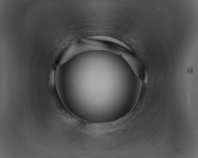 X0000091510041200708241638