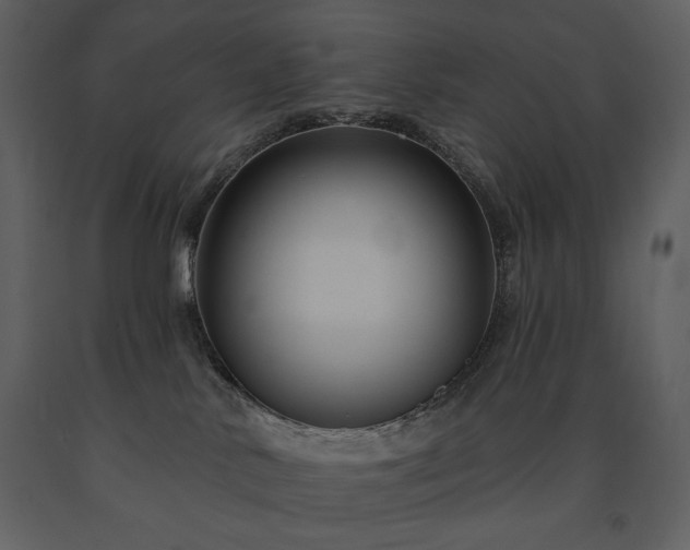 X0000091510042200708241638