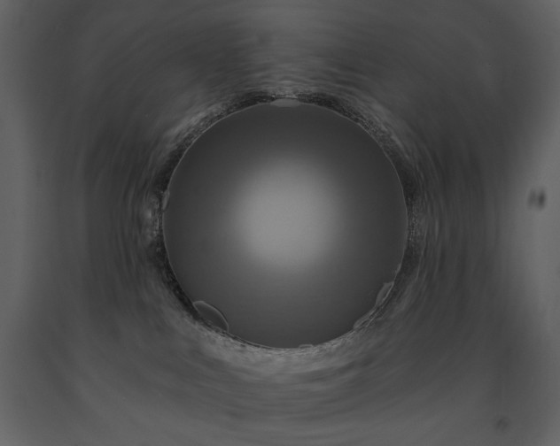 X0000091510043200708241638