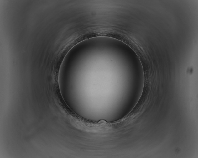 X0000091510044200708241638