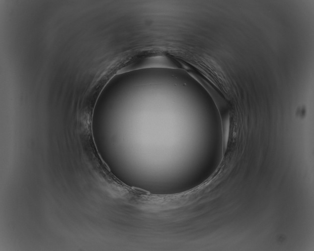 X0000091510045200708241638