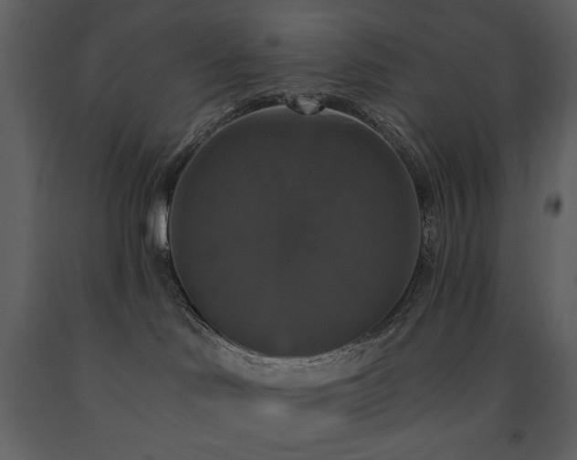 X0000091510046200708241638