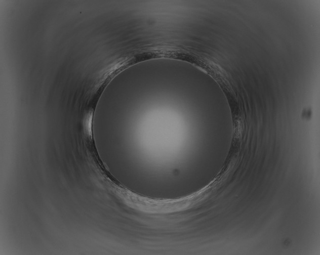 X0000091510047200708241638